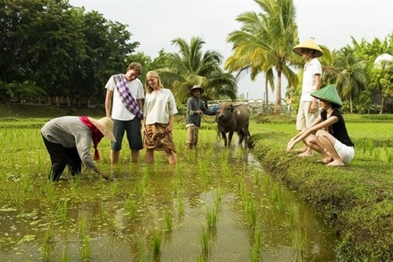 Du lịch nông thôn nói chung khá đa dạng, tuy nhiên các loại hình du lịch nông thôn chủ đạo là: du lịch nông nghiệp, du lịch sinh thái và du lịch cộng đồng. (Nguồn ảnh: nongnghiep.vn)